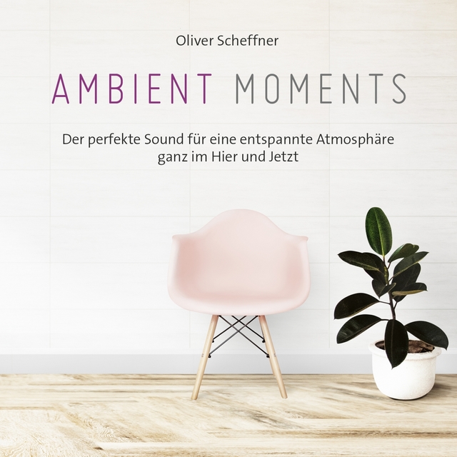 Couverture de Ambient Moments