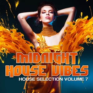 Midnight House Vibes, Vol. 7 | Cosmic Funk