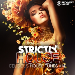 Strictly House - Delicious House Tunes, Vol. 14 | Sebastien Drums