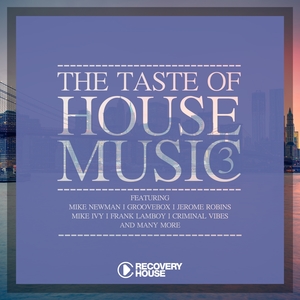 The Taste of House Music, Vol. 3 | Mike Ivy