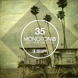 Monotone, Vol. 35 - Tech House Selection | Stefano Noferini