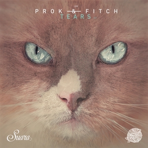 Tears | Prok & Fitch