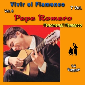 Vivir el Flamenco, Vol. 6 (Fenomenal Flamenco) (14 Sucess) | Pepe Romero