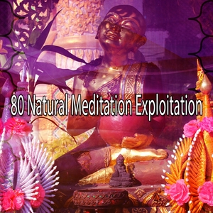 80 Natural Meditation Exploitation | Exam Study Classical Music Orchestra