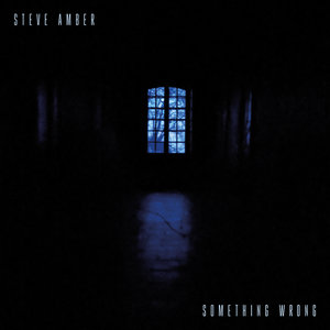 Something Wrong | STEVE AMBER