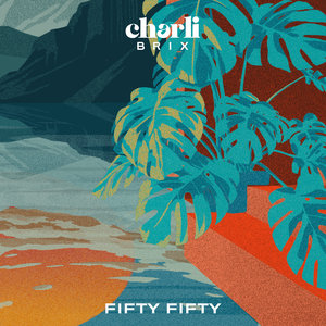 Fifty Fifty | Charli Brix