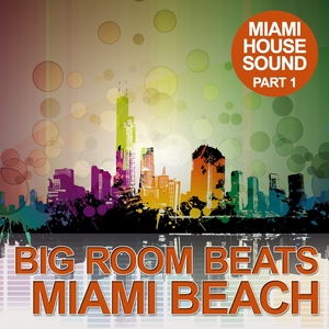 Big Room Beats In Miami Beach, Pt. 1 | Mark Funk