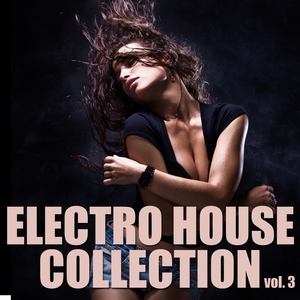 Electro House Collection, Vol. 3 | Various Artists