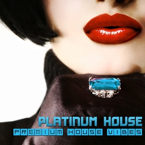 Platinum House - Premium House Vibes | Various Artists