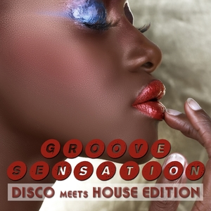 Groove Sensation, Vol. 3 - Disco Meets House Edition | Oliver Moldan