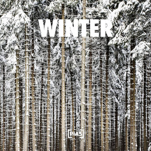 Winter | alt-J