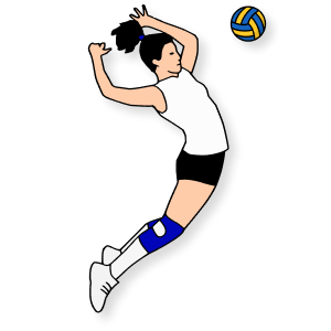 Pallavolo