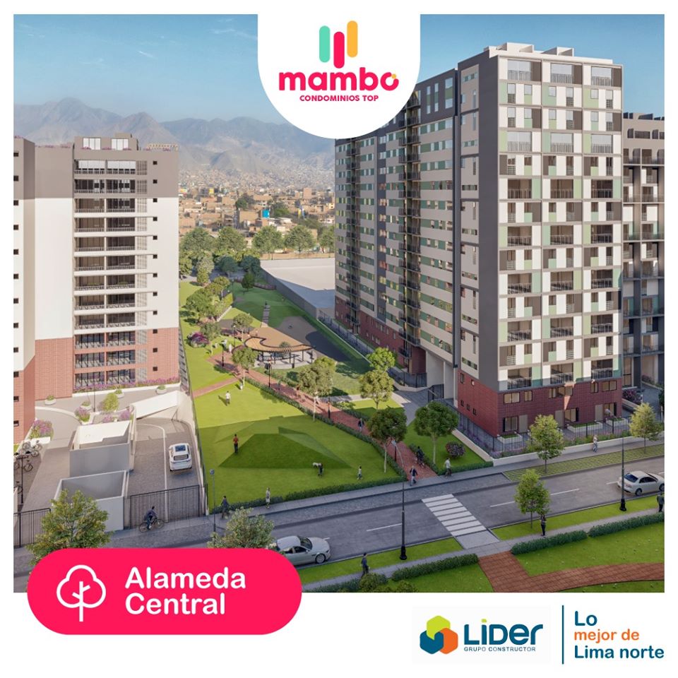 Lider Grupo Constructor