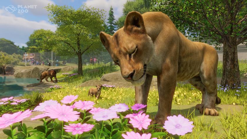 L'édition console de Planet Zoo arrive en Mars sur PS5 et Xbox Series