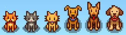 Soluce Stardew Valley : Comment adopter plusieurs animaux de compagnie