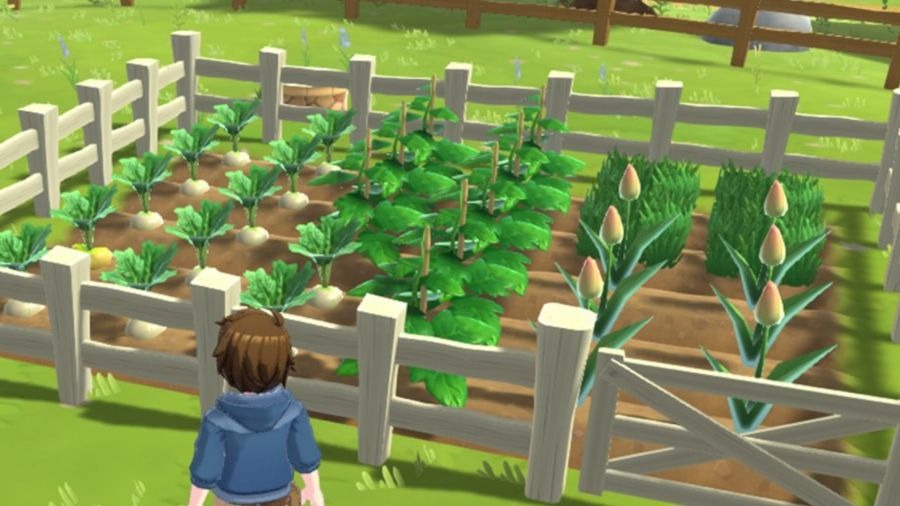 Harvest Moon: Home Sweet Home - Des détails sur le jeu à venir