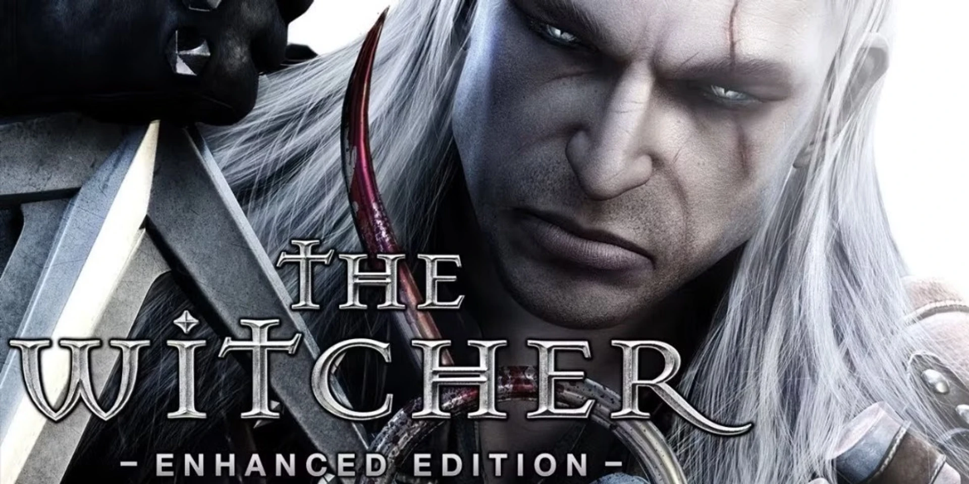 The Witcher