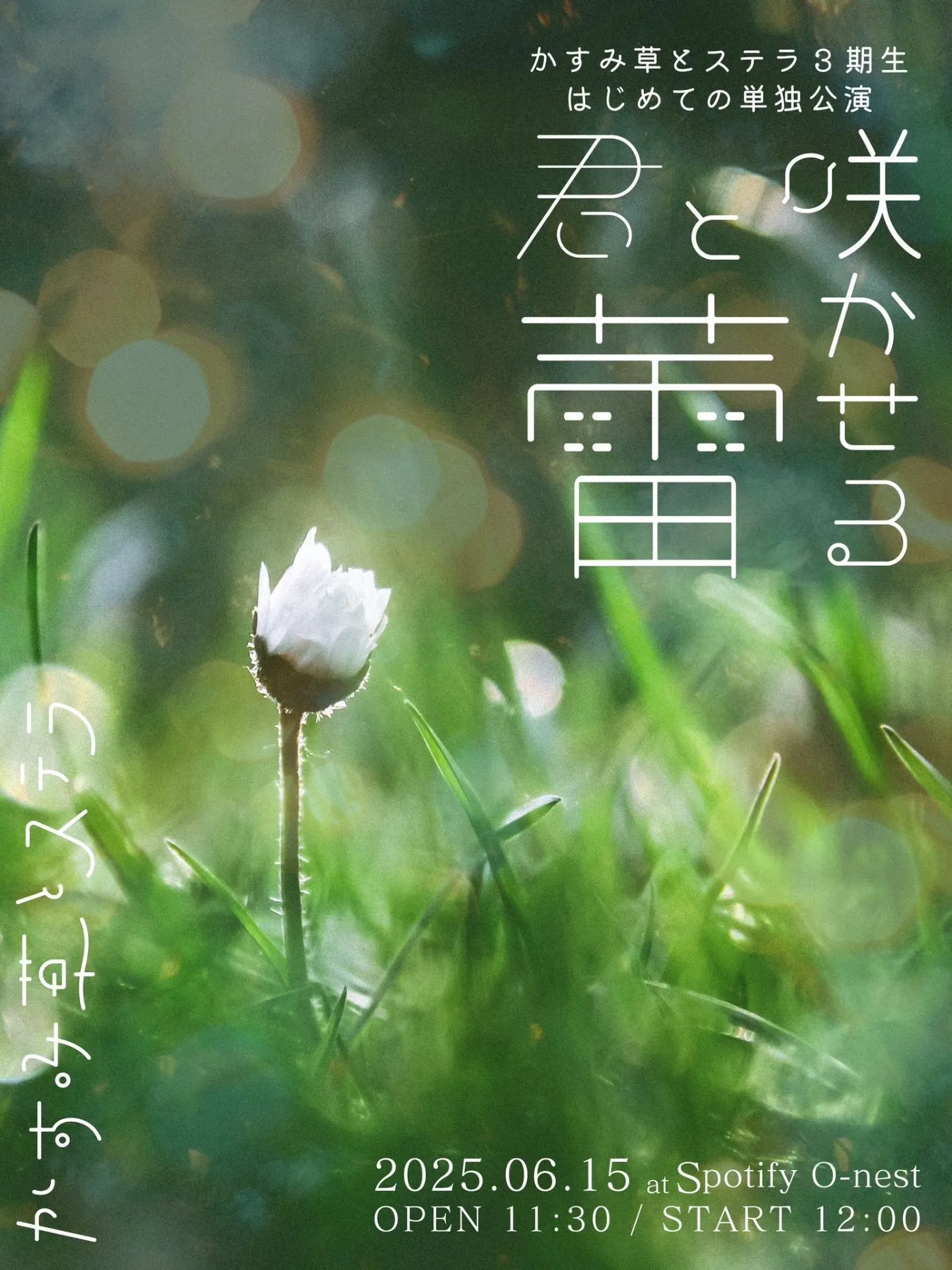 かすみ草とステラ3期生はじめての単独公演「君と咲かせる蕾