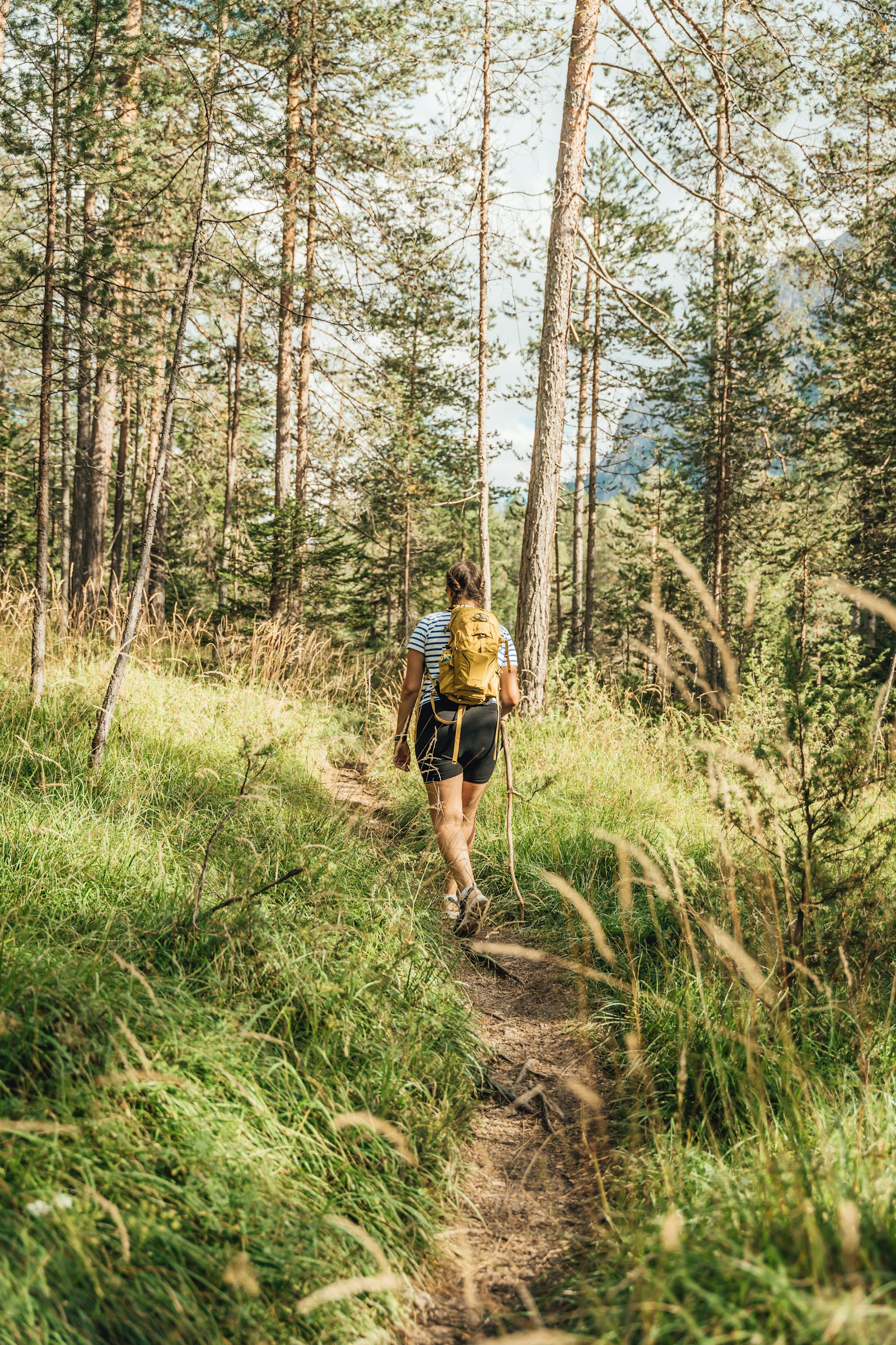 Full-body backpacker walking a narrow forest trail