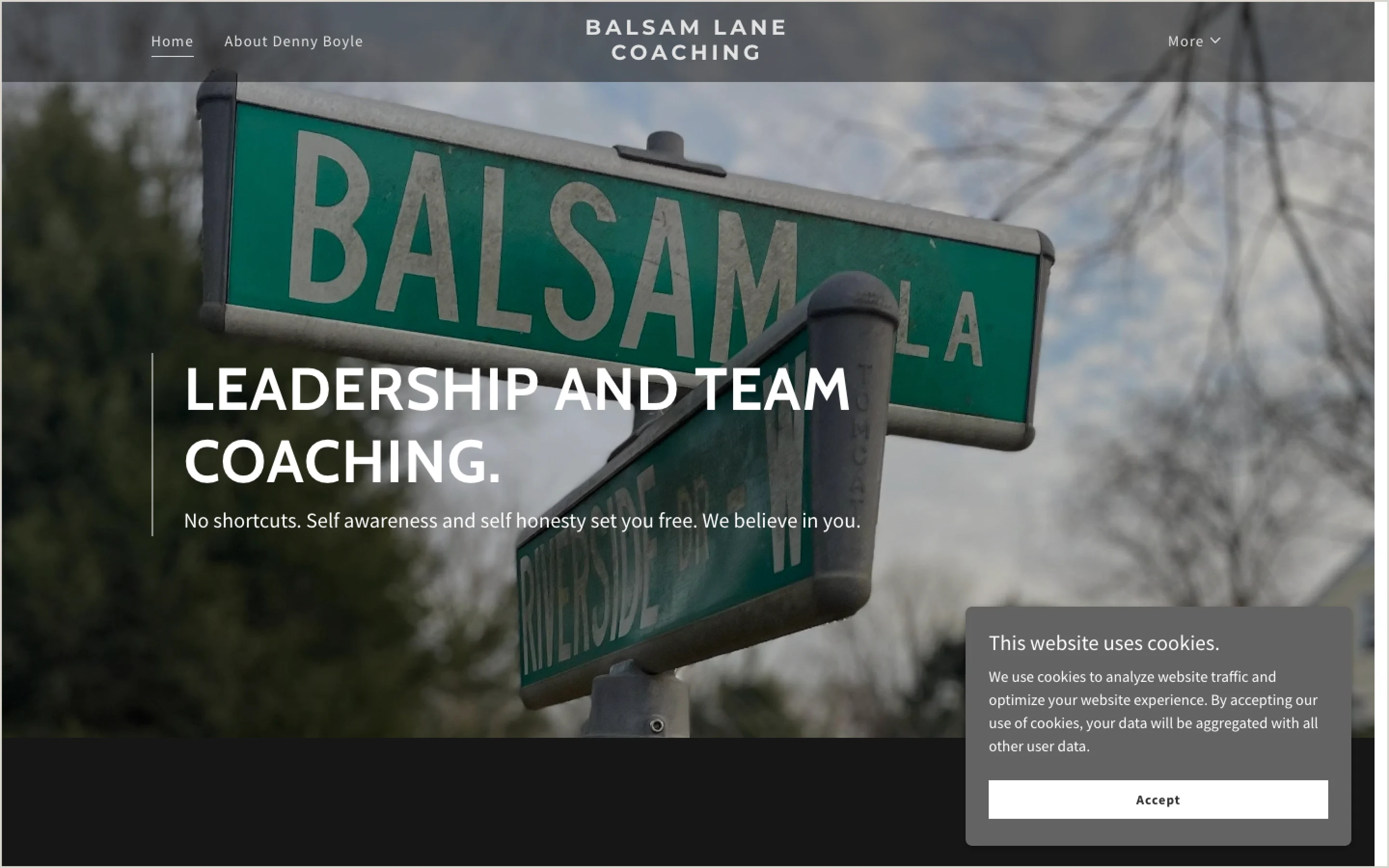 Balsam Lane Coaching homepage before the redesign