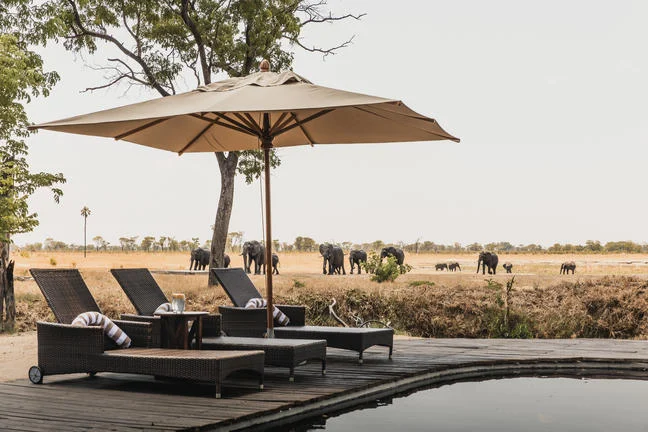 Pool and loungers at Wilderness Davison's