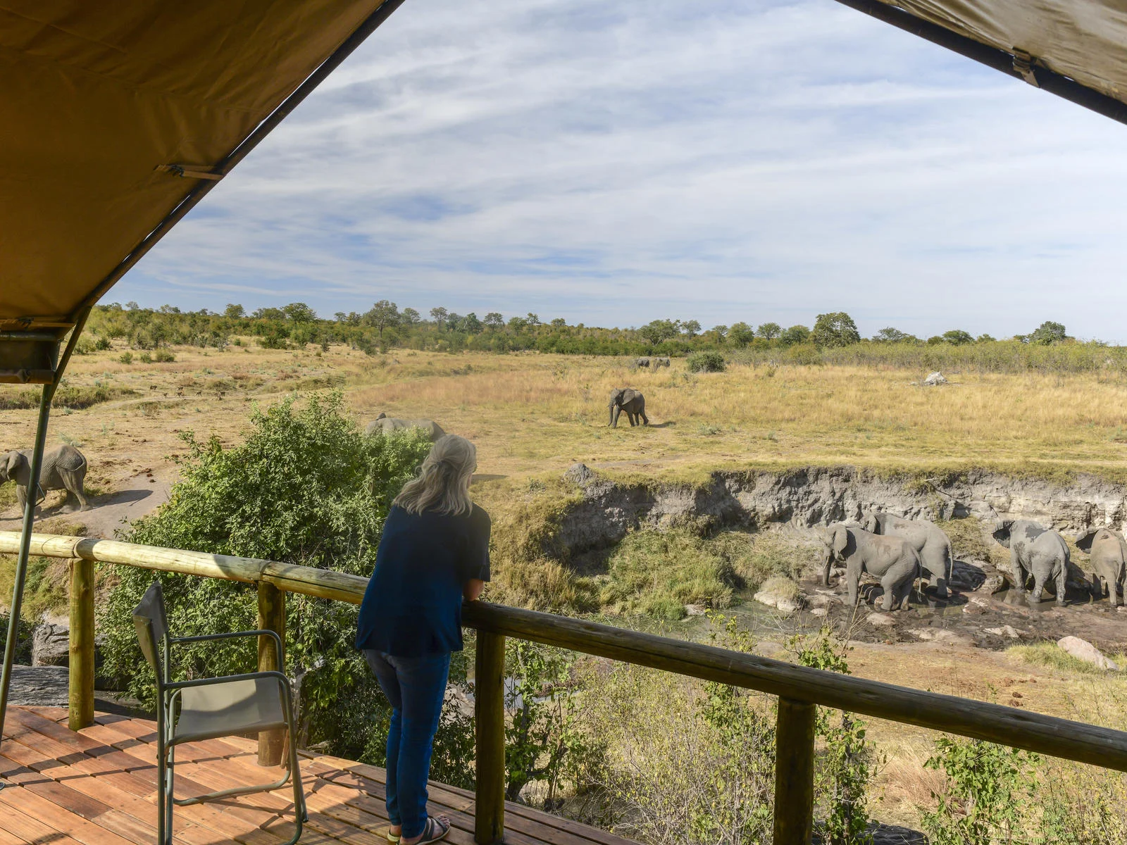 Wildlife view from Deteema Springs Camp in Hwange