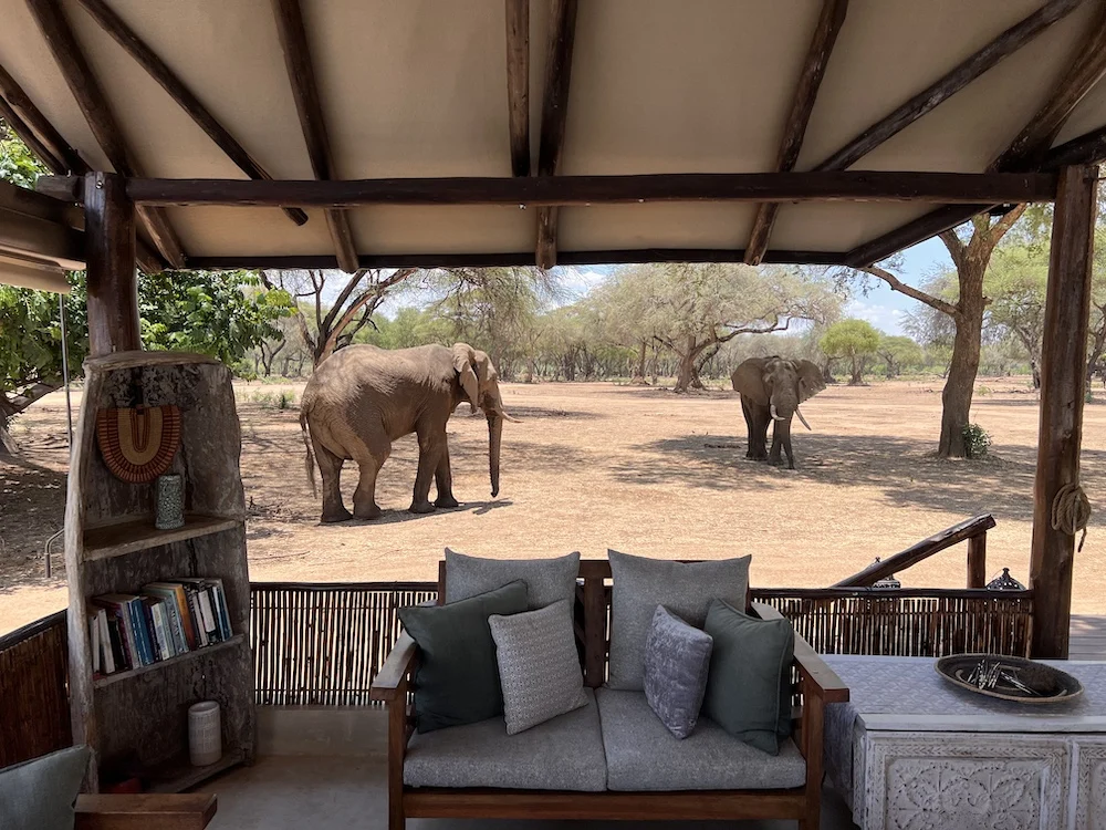 Elephants seen from a Lower Zambezi camp