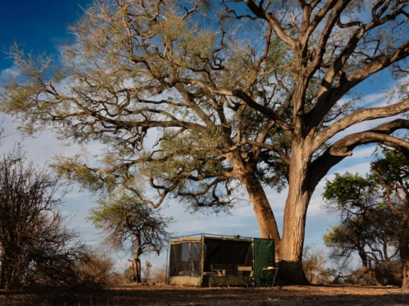 Guests on a guided walking safari in Hwange