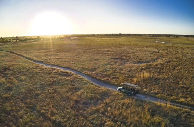 Game drive from Camp Hwange in Hwange National Park
