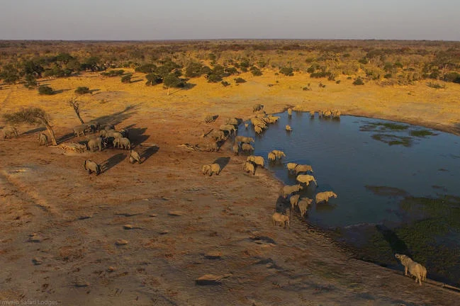 Jozibanini Pan and camp in south-western Hwange National Park