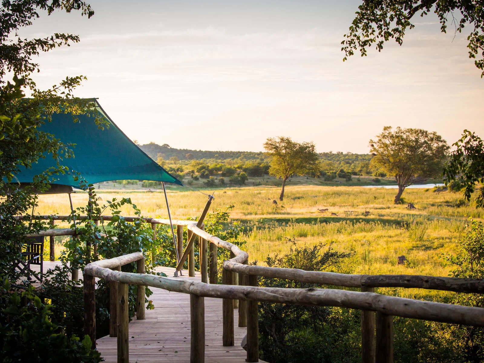 Deck at Deteema Springs Camp