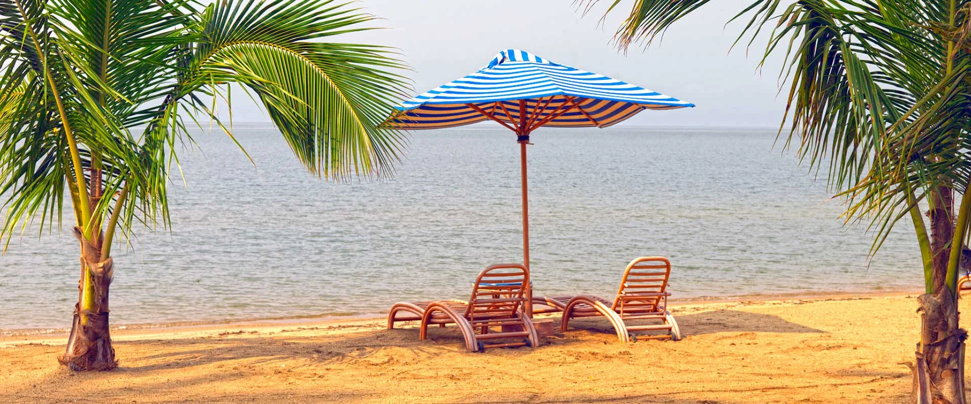 A palm-fringed beach on the shore of Lake Kivu, Rwanda