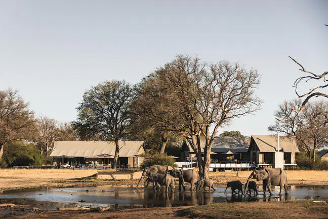 Wildlife viewing hide at Wilderness Linkwasha in Hwange