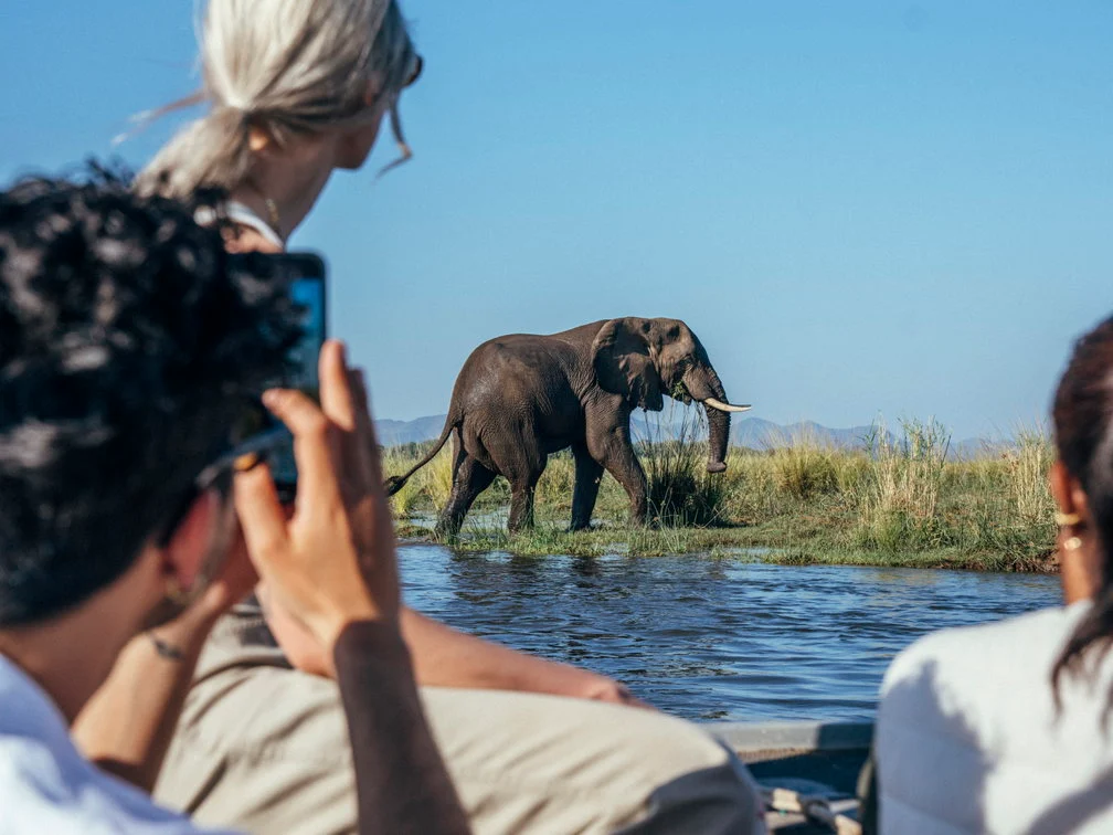 Elephant seen from a boat safari at Dulini Anabezi