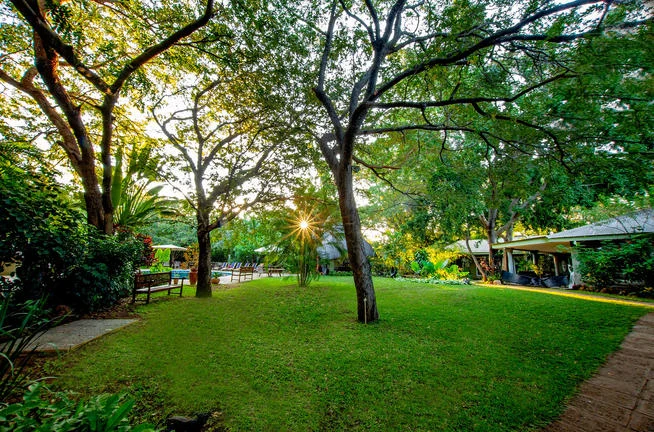 Gardens at Bayete Guest Lodge in Victoria Falls