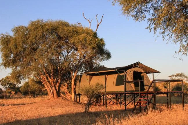Raised tents at Jozibanini Camp
