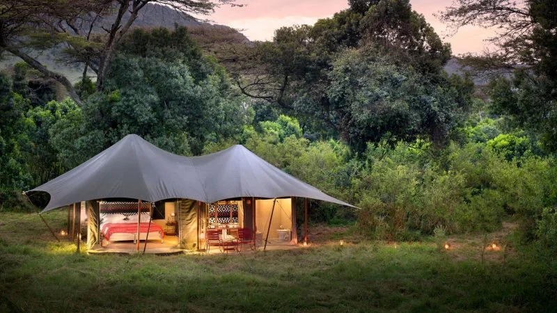 Angama Safari Camp accommodation
