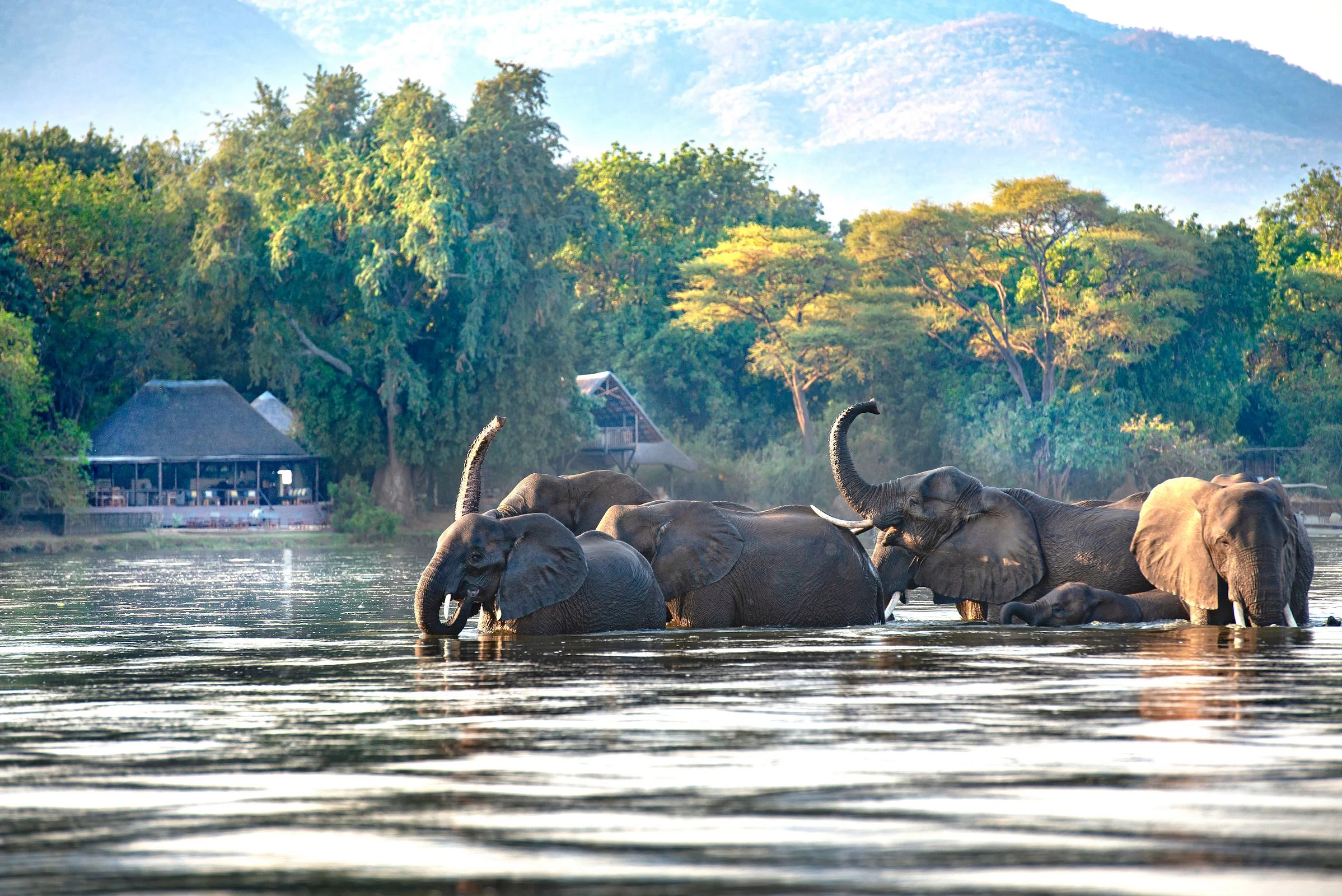 Highlights of Zambia