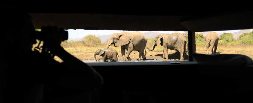 Elephants viewed from the hide at Kavinga Safari Camp