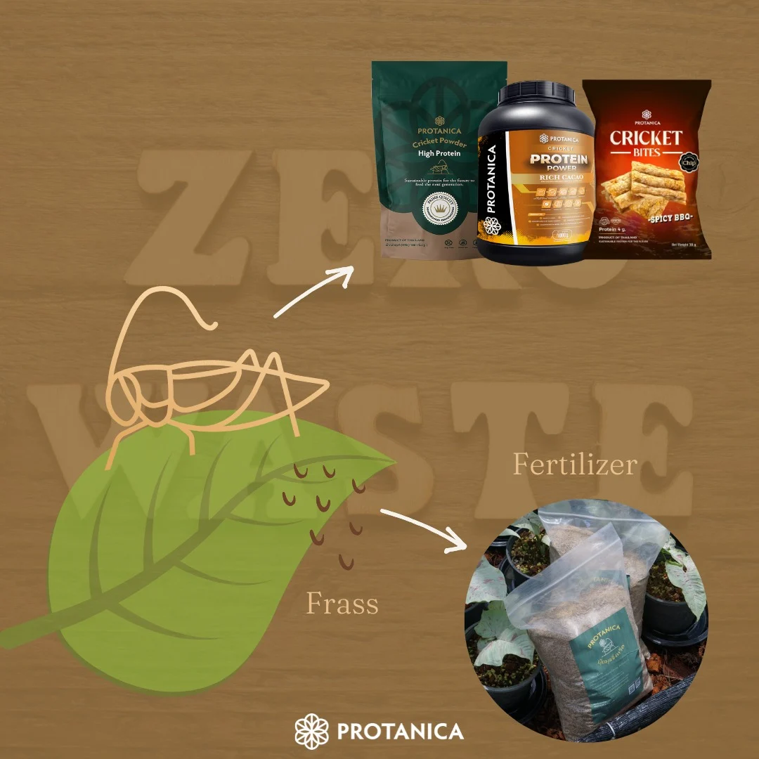 edibleinsects, entovegan, Cricket powder, Cricket flour
