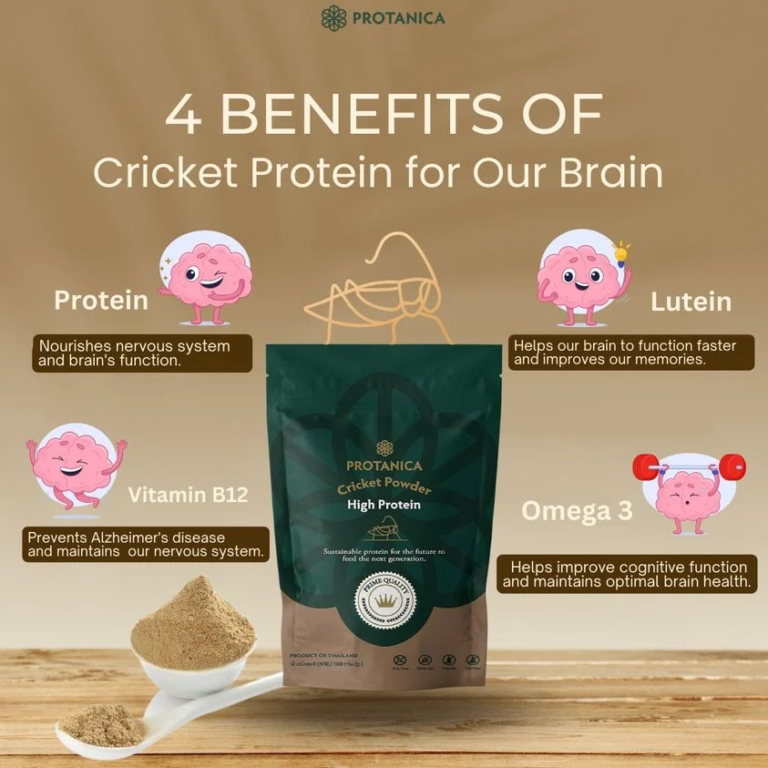 4 BENEFITS OF CRICKET PROTEIN FOR BRAIN