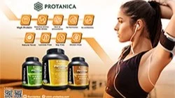Cricket Protein for Your Gym Body