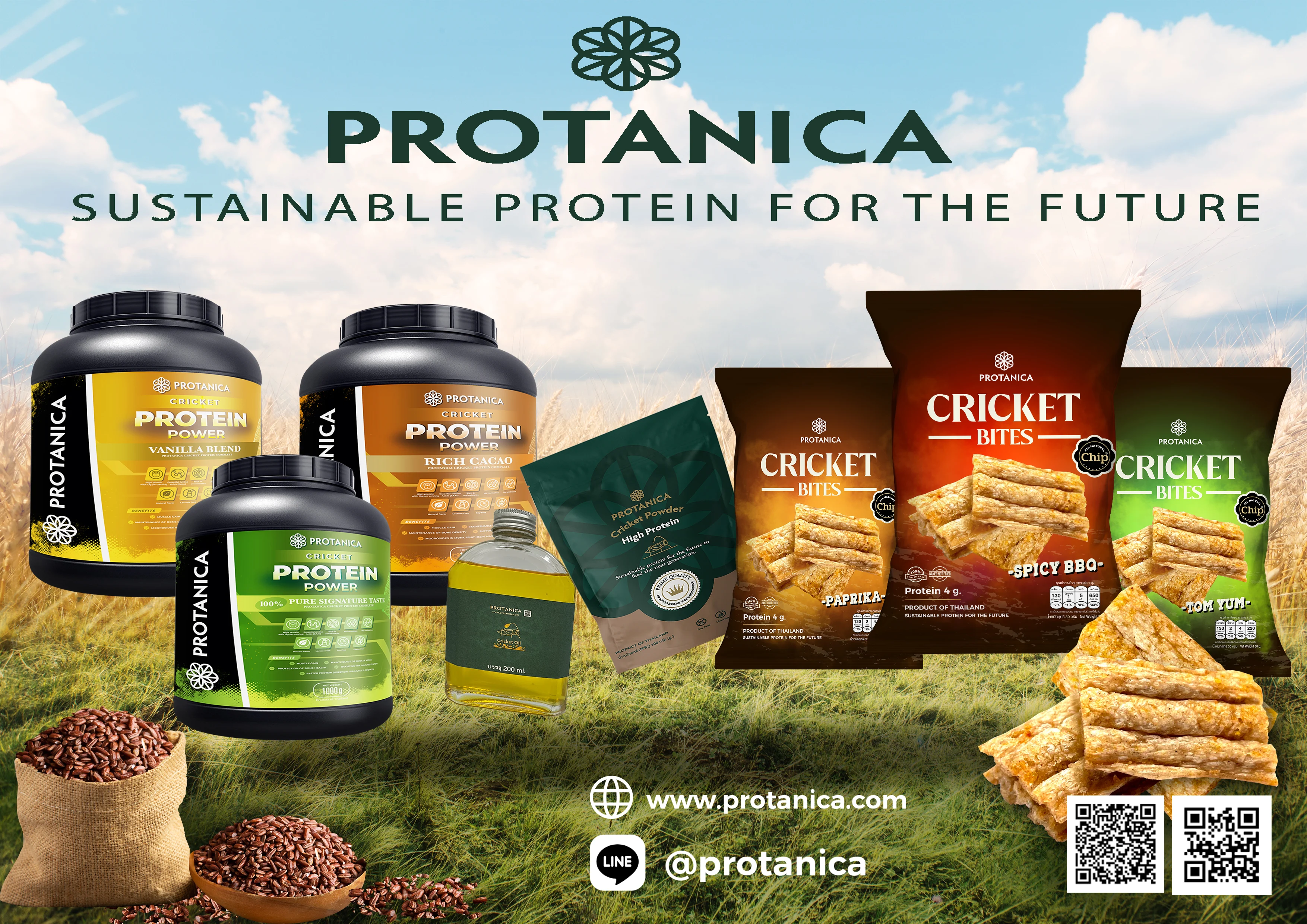 Protanica manufacturer cricket flour, cricket powder