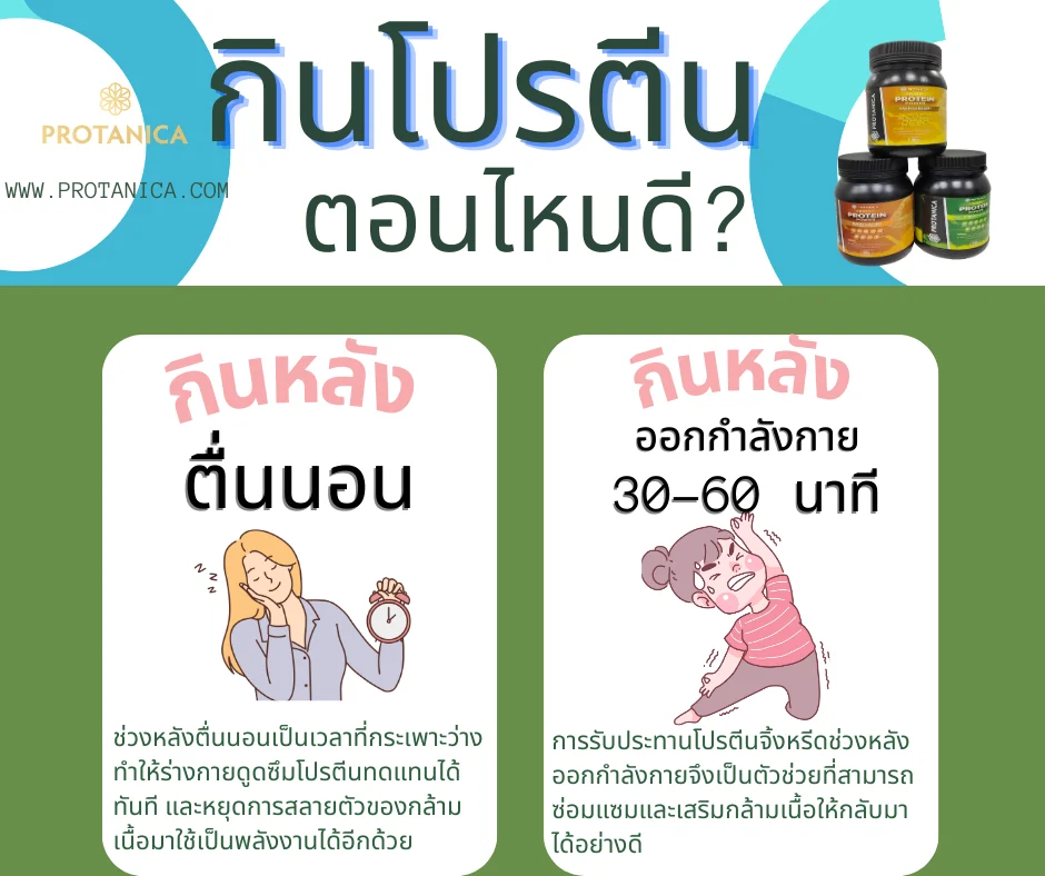 กินโปรตีน ตอนไหนดี