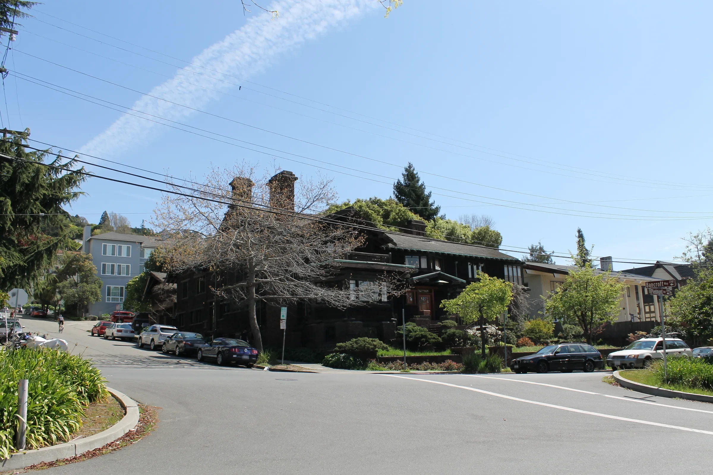 Brown-shingle Craftsman houses on a tree-lined Berkeley hillside street