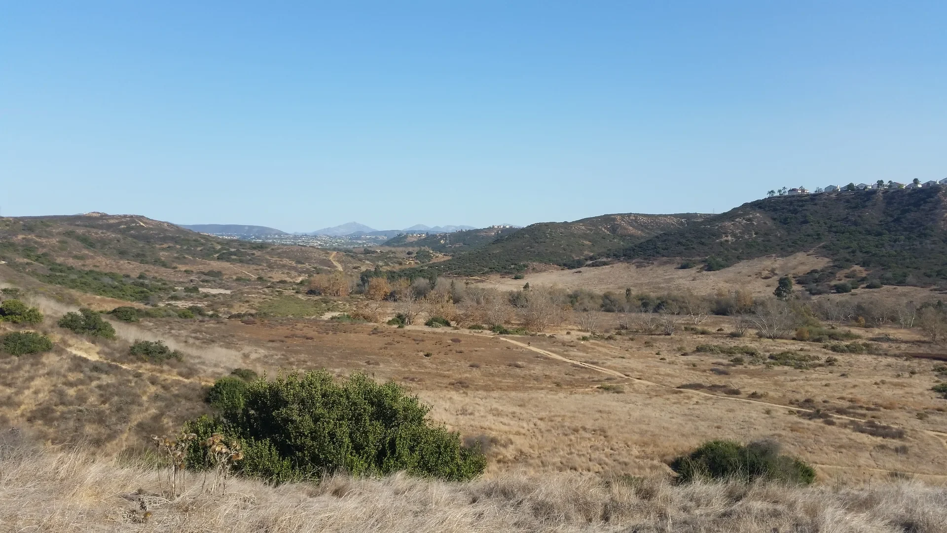Open grassland and hills in Los Penasquitos Canyon Preserve, near 3Roots in San Diego