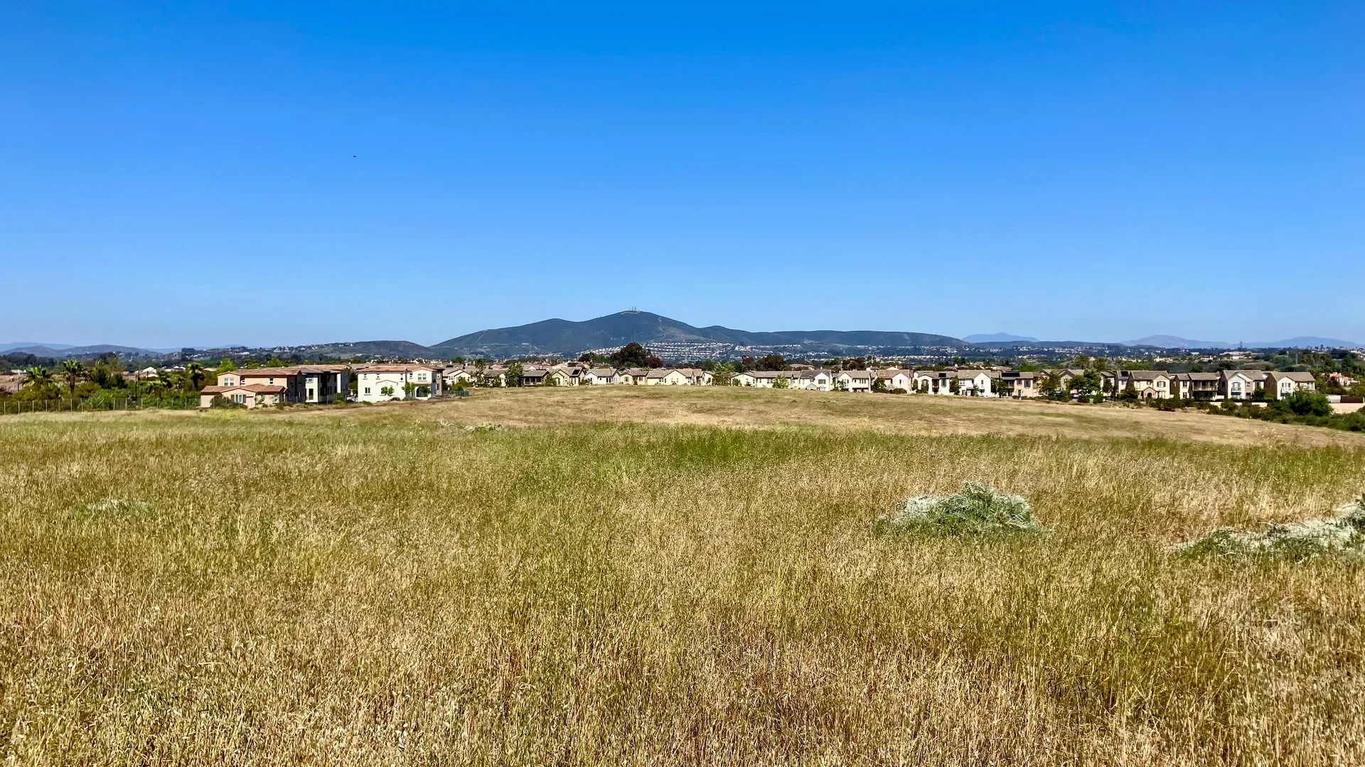 Grassy open space with homes and Black Mountain in the distance in Pacific Highlands Ranch, San Diego