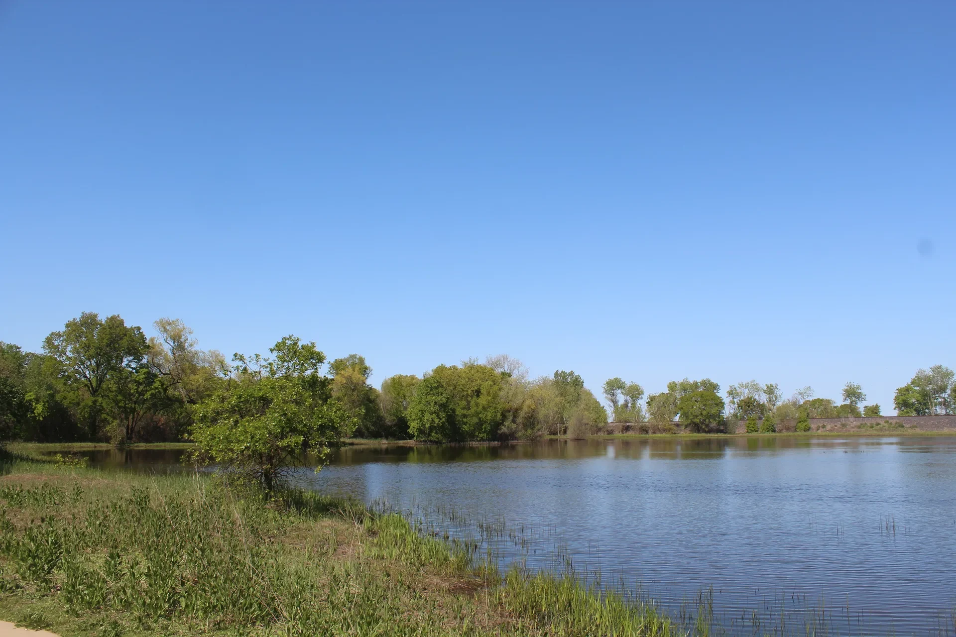 Calm pond and valley oaks at the Cosumnes River Preserve south of Elk Grove, California, near Arbor Ranch