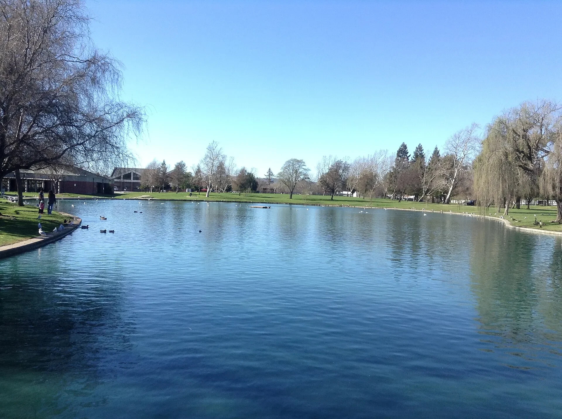 Small lake and lawn next to the Fairfield Civic Center Library in Fairfield, California