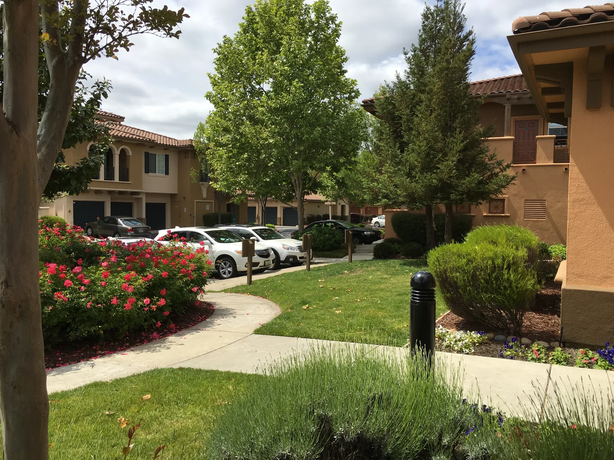 Mediterranean-style condominium courtyard with roses and lawn in San Ramon